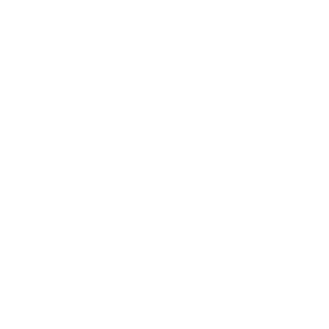 BiGeeks